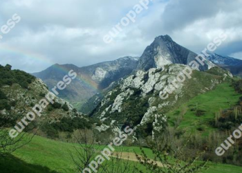 Grupo de expertos publicará este lunes informe sobre Cambio Climático