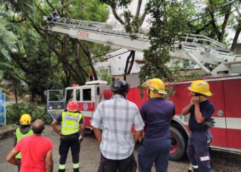 Más de mil brigadistas en el Distrito Nacional auxilian víctimas de tormenta Grace