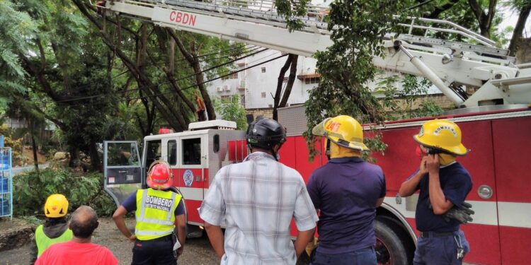 Más de mil brigadistas en el Distrito Nacional auxilian víctimas de tormenta Grace