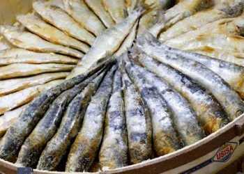 Sardinas y arenques, amenazados de extinción por el cambio climático