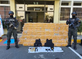 DNCD decomisa 30, 045.49 kgs. de drogas entre agosto del 2020 al 10 de agosto de 2021