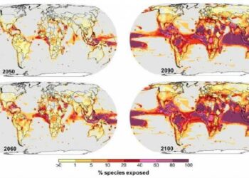 Conozca la prohibición mundial que ha evitado la realidad de una "tierra quemada"