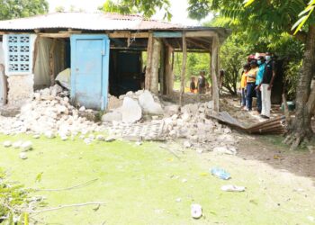 OIM pide US$15 millones para cubrir necesidades "críticas" de afectados por terremoto en Haití