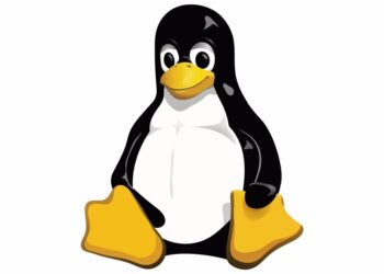 Se cumplen 30 años de Linux, el sistema operativo en el que se basó Android