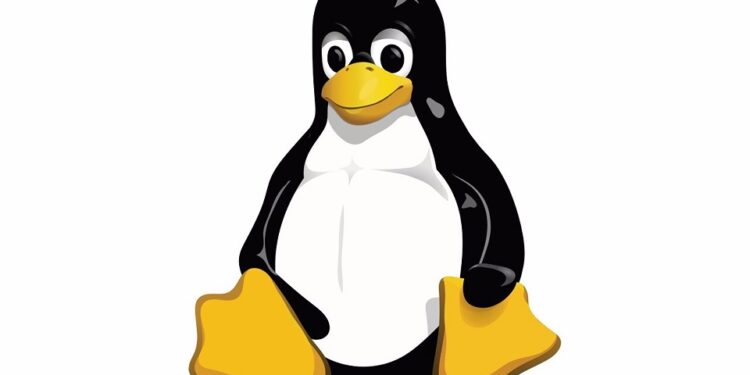 Se cumplen 30 años de Linux, el sistema operativo en el que se basó Android