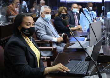 Diputados acogen acuerdos transporte aéreos  de RD con Reino de Países Bajos y Portugal