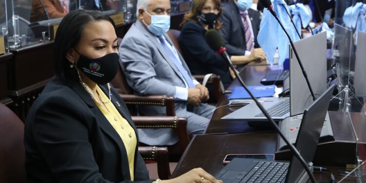 Diputados acogen acuerdos transporte aéreos  de RD con Reino de Países Bajos y Portugal