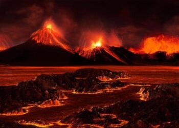 Un pico de oxígeno marino coincidió con la mayor extinción global