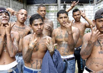 Investigación: Gobierno de Bukele negoció con tres pandillas de El Salvador