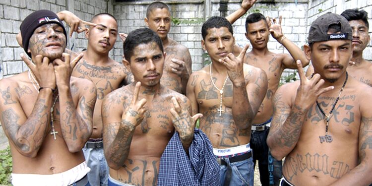 Investigación: Gobierno de Bukele negoció con tres pandillas de El Salvador