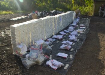 Autoridades de RD han incinerado más de 18 mil kilogramos de drogas este año