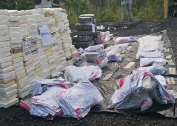 Procuraduría incinera más de 280 kilogramos de diferentes drogas