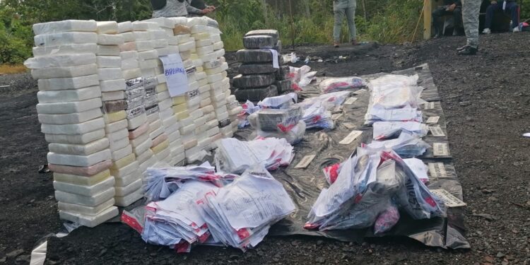 Procuraduría incinera más de 280 kilogramos de diferentes drogas