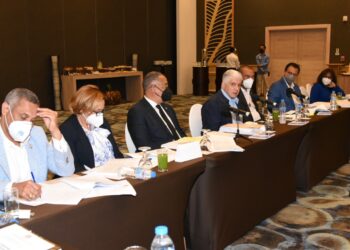 Comisión Bicameral que estudia Código Penal rendirá informe