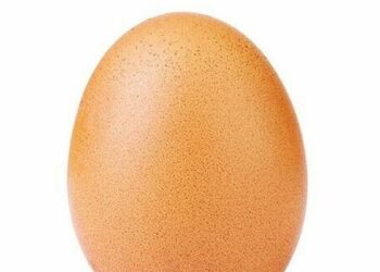 Formulan nueva ecuación universal para describir la forma del huevo