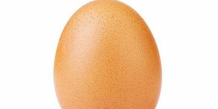 Formulan nueva ecuación universal para describir la forma del huevo