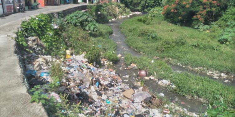 Estas son las condiciones del Río Moca