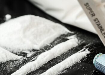 El papel de la serotonina para que sólo una de cada cinco personas se vuelva adicta a la cocaína