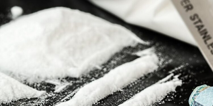 El papel de la serotonina para que sólo una de cada cinco personas se vuelva adicta a la cocaína