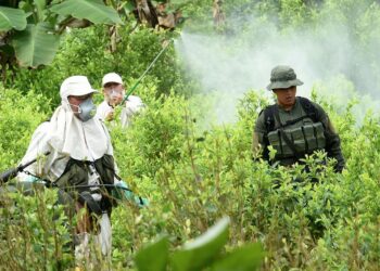 Colombia y EEUU acuerdan una nueva estrategia antidroga