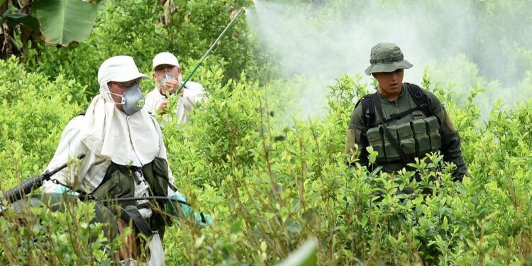 Colombia y EEUU acuerdan una nueva estrategia antidroga