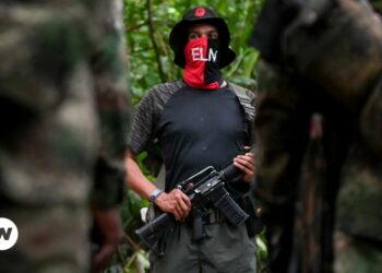 Mueren dos comandantes del ELN, y tres guerrilleros heridos, durante bombardeo del Ejército de Colombia