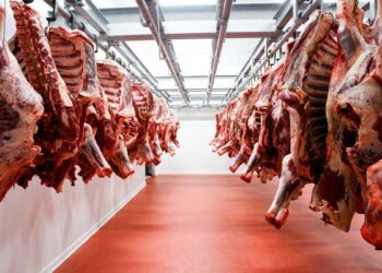 RD aspira a exportar US$690 MM en carne en 5 años