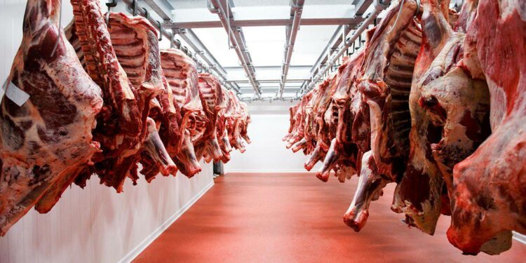 RD aspira a exportar US$690 MM en carne en 5 años