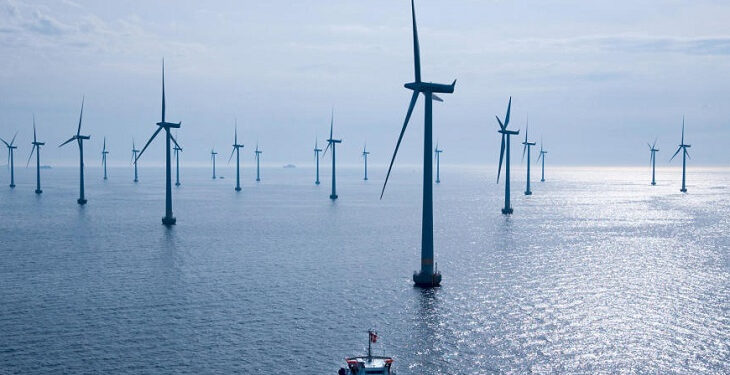 Inversionistas brasileños interesados en proyecto de energía eólica en el mar de RD