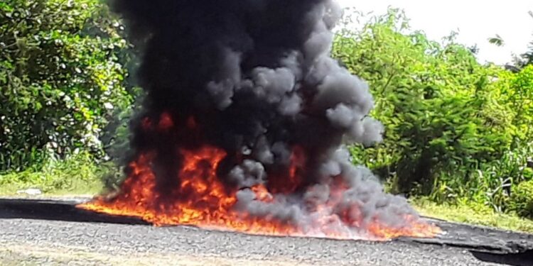 La Procuraduría General incinera otros 120 kilogramos de drogas