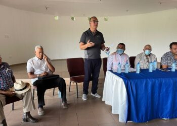 Productores de gallinas ponedoras lanzan alerta