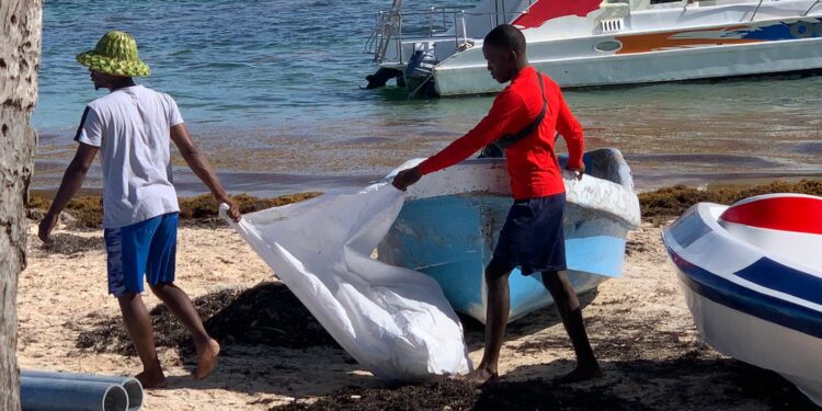 Civiles y militares se unen en jornada de limpieza de playas