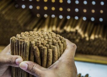 Reportan de enero-julio 2021 las exportaciones de zonas francas superan los US$4 mil millones