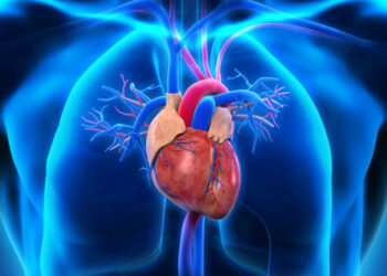 Enfermedades cardiovasculares: Desafío para la República Dominicana