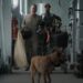 Tom Hanks sobrevive al Apocalipsis con un perro y un robot en Finch