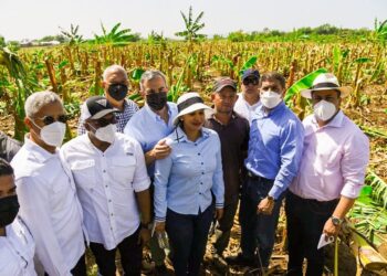 Gobierno ayudará tras ventarrón dañó sembradíos de plátanos y bananos