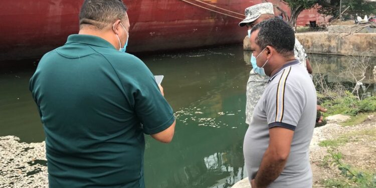 Investigan causas de muerte de especies marinas en Barahona