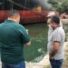 Investigan causas de muerte de especies marinas en Barahona