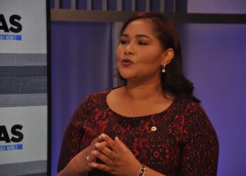 Lo que dice especialista en seguridad ciudadana sobre la violencia en República Dominicana