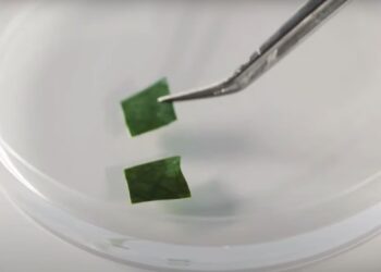 Científicos generan café en placas de laboratorio