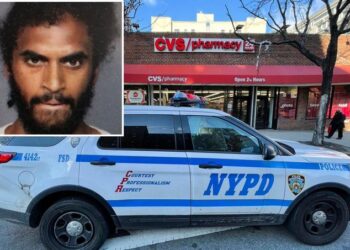 Hispano apresado en NY 57 veces este año por diversos robos