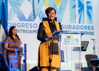 Josefa Castillo revela prima neta de segurados es de 56 mil millones en 2021