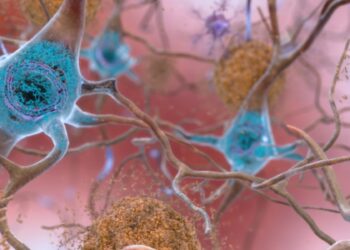 Estudio revela terapia génica con "dedos de cinc" es efectiva para tratar el Alzheimer