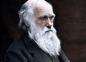 Una polilla predicha por Darwin es reconocida como nueva especie