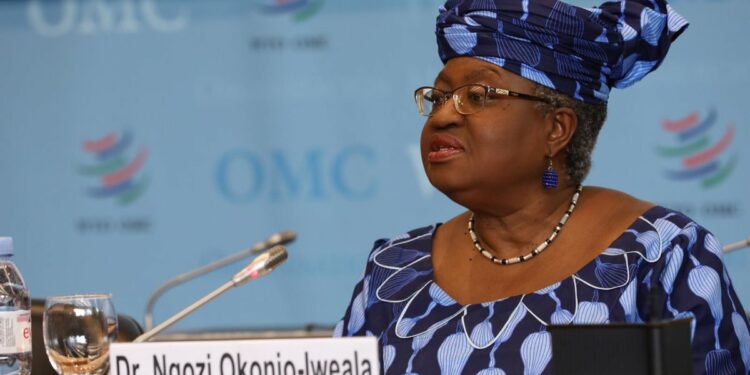 OMC advierte desabastecimiento global va para largo por escasez de contenedores