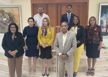 Regidores del PLD en ASDE opuestos a transferencia