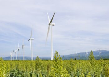 EGE Haina coloca un bono internacional de US$300 millones viculado a la sostenebilidad