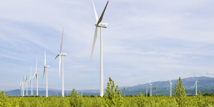 EGE Haina coloca un bono internacional de US$300 millones viculado a la sostenebilidad