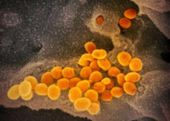 La nueva variante de coronavirus ya tiene nombre y la OMS advierte de un "mayor riesgo de reinfección"