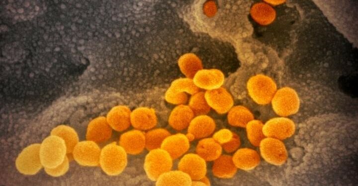 La nueva variante de coronavirus ya tiene nombre y la OMS advierte de un "mayor riesgo de reinfección"